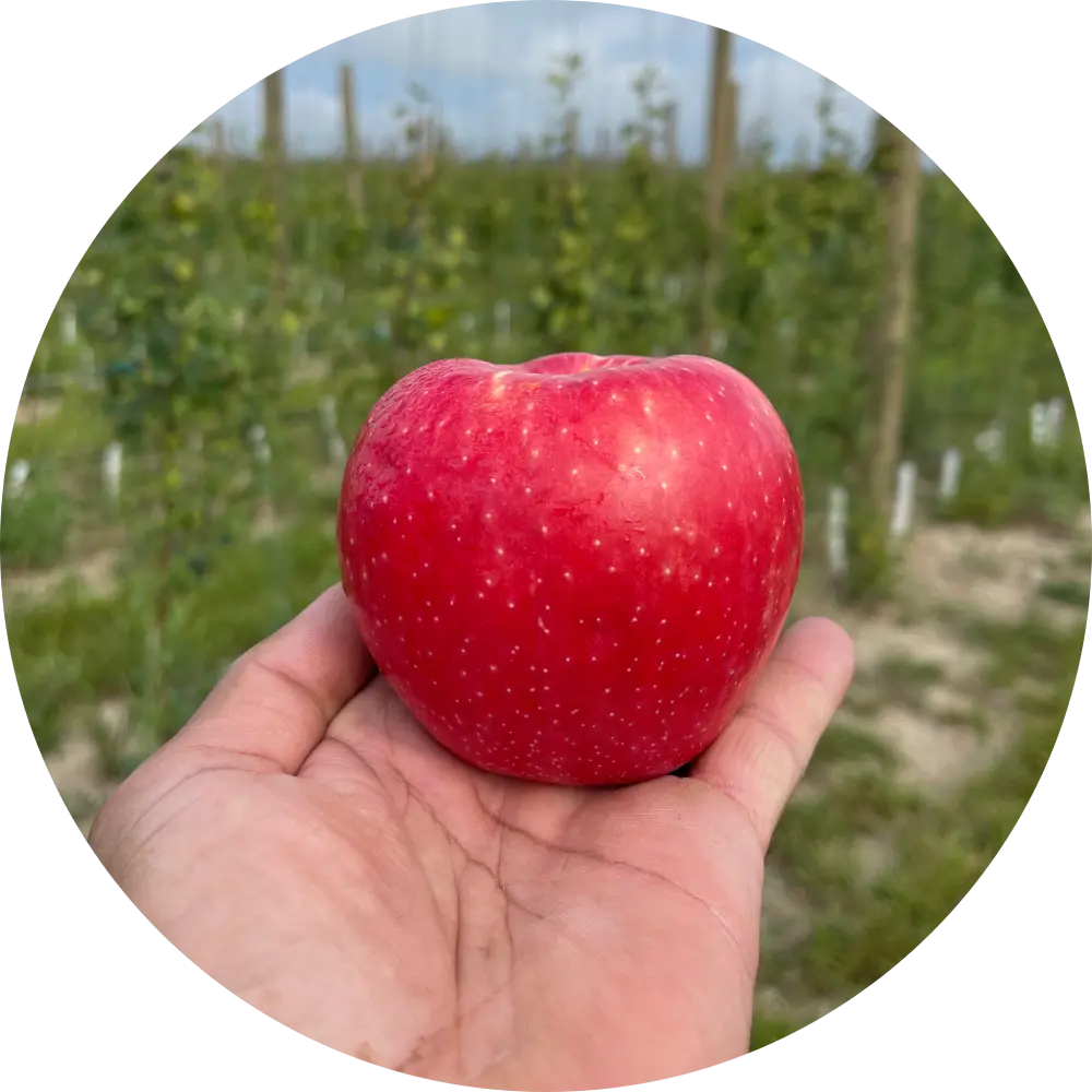 grant funding appleatcha 2023 apple